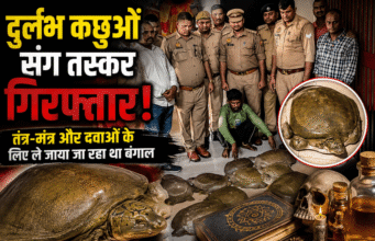 दुर्लभ कछुओं संग तस्कर गिरफ्तार, तंत्र-मंत्र और दवाओं के लिए ले जाया जा रहा था बंगाल